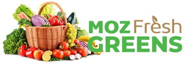 Logo Higest Moçambique